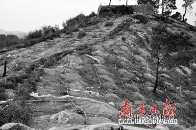 漫山遍野皆是網(wǎng)狀酸液管道。