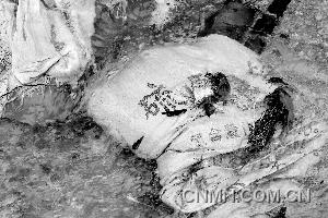 盜采者遺留在現(xiàn)場(chǎng)的開(kāi)采原料硫酸銨