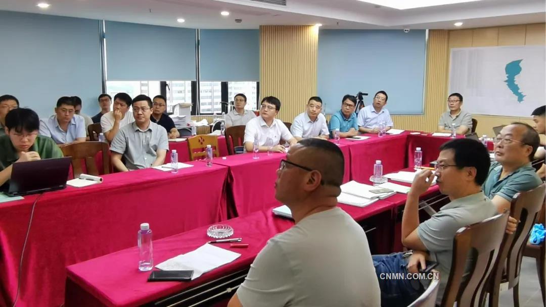 大寶山銅多金屬礦資源儲量核實報告通過專家評審