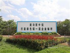 以含“綠”量提升含“金”量——云鋁股份品牌建設工作綜述
